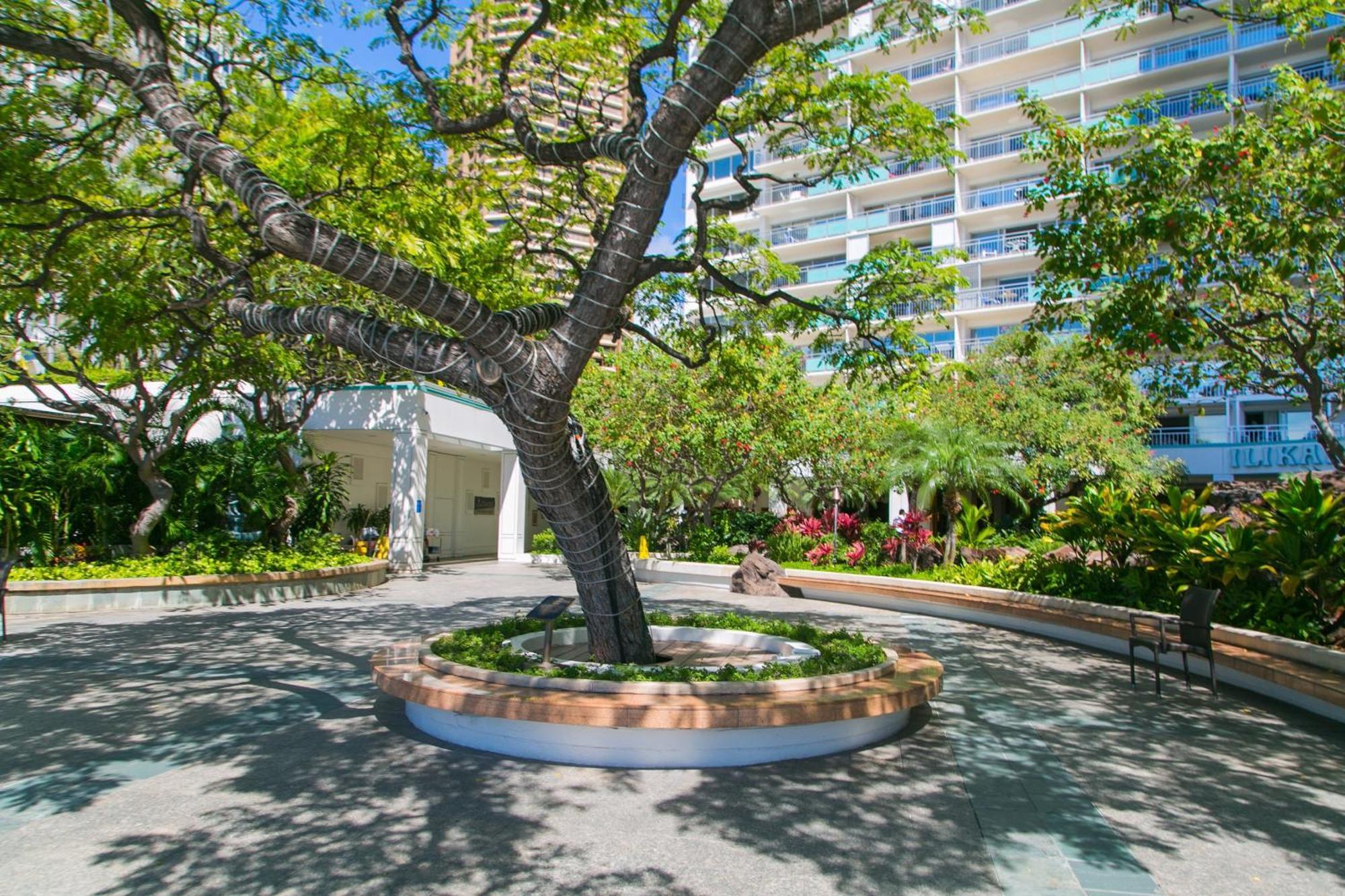Ilikai Tower 1127 Yacht Harbor View 1Br Lägenhet Honolulu Exteriör bild